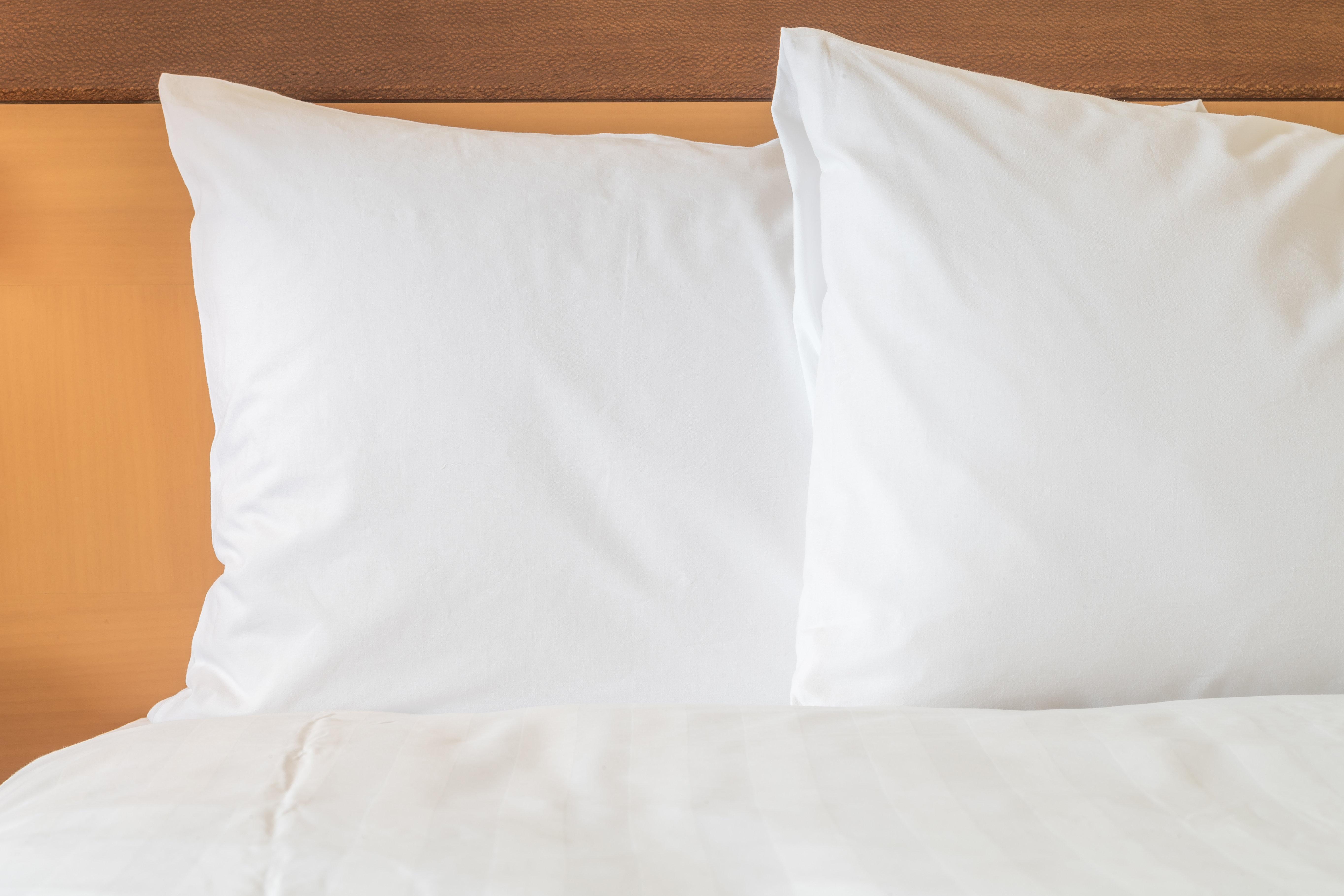 Hotel Holiday Port Of Miami-downtown By Ihg Miami